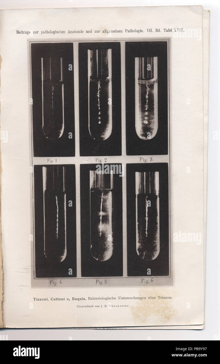 1600 Tavola XVIII. Stockfoto