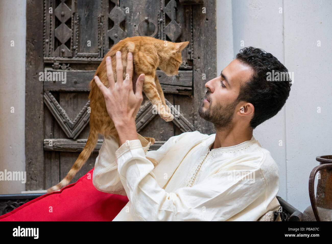 Junge muslimische Mann hält eine gelbe Katze vor einem geschmückten Wand Stockfoto