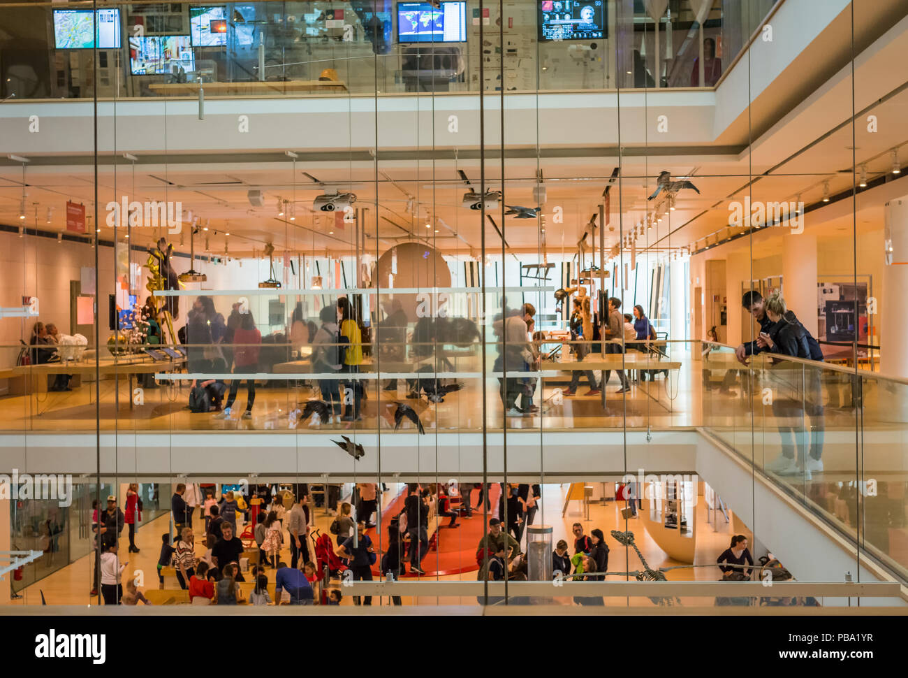 Muse - Wissenschaftsmuseum - Trient in Norditalien - Innenräume des berühmten interaktiven Museums für Naturwissenschaften von Trient entwarf Renzo Piano Stockfoto