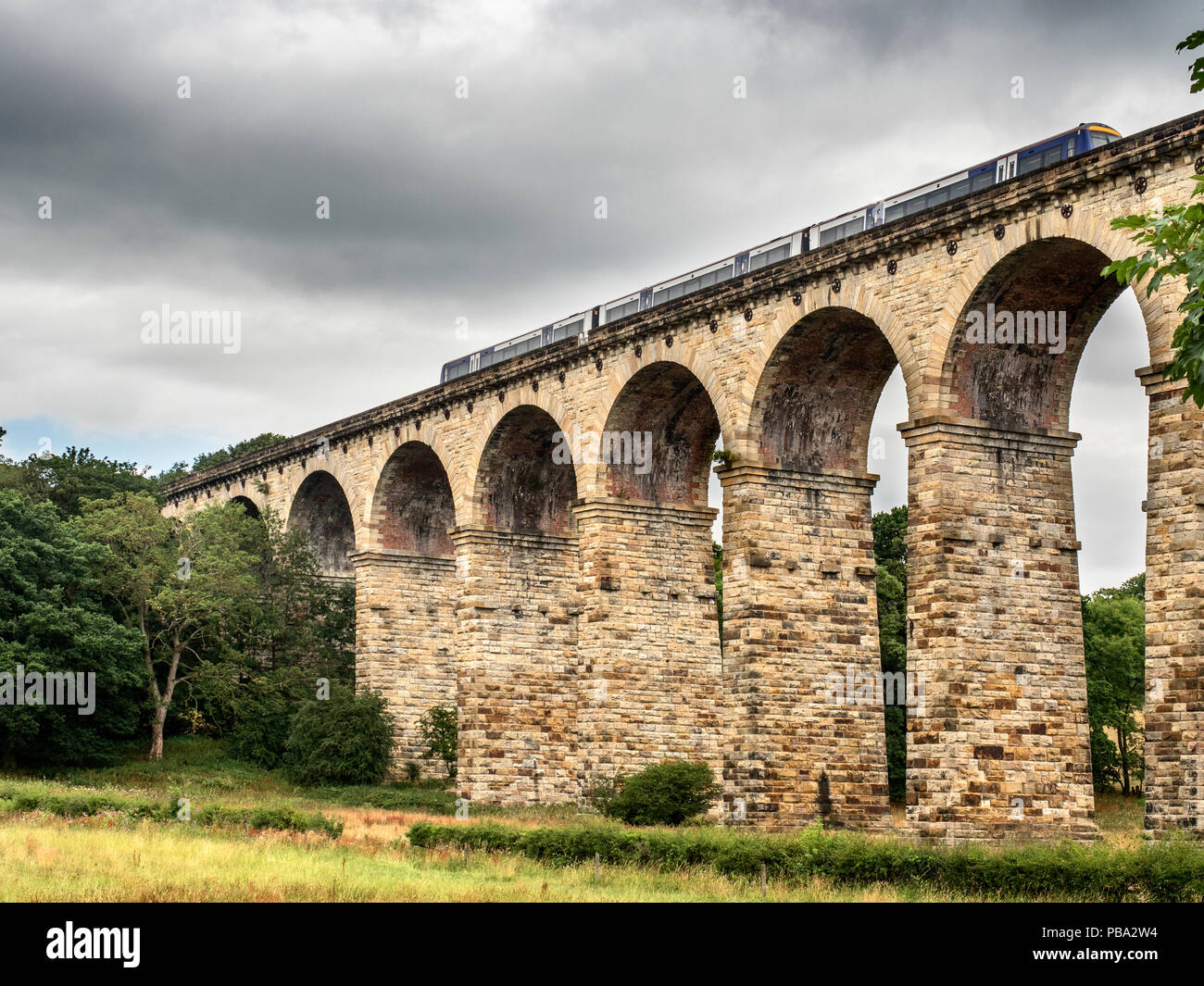 Klasse 170 Nördliche Zug das Viadukt überqueren Crimple Tal in der Nähe von pannal Harrogate, North Yorkshire England Stockfoto