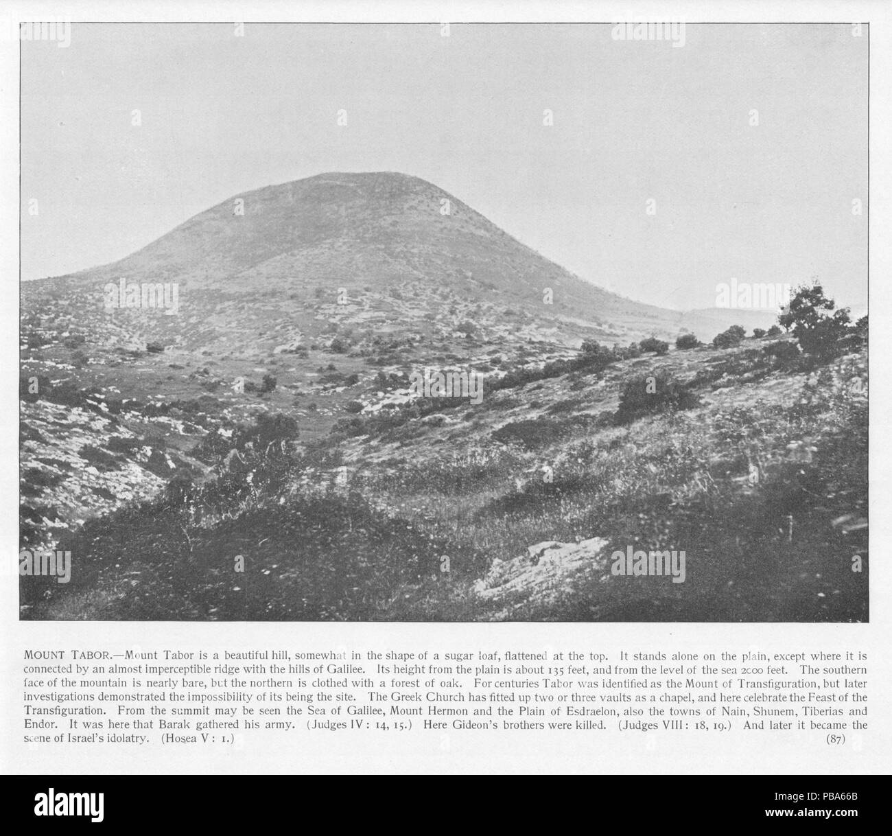 1063 Berg Tabor. 87. Heilige Land fotografiert. Daniel B. Shepp. 1894 Stockfoto