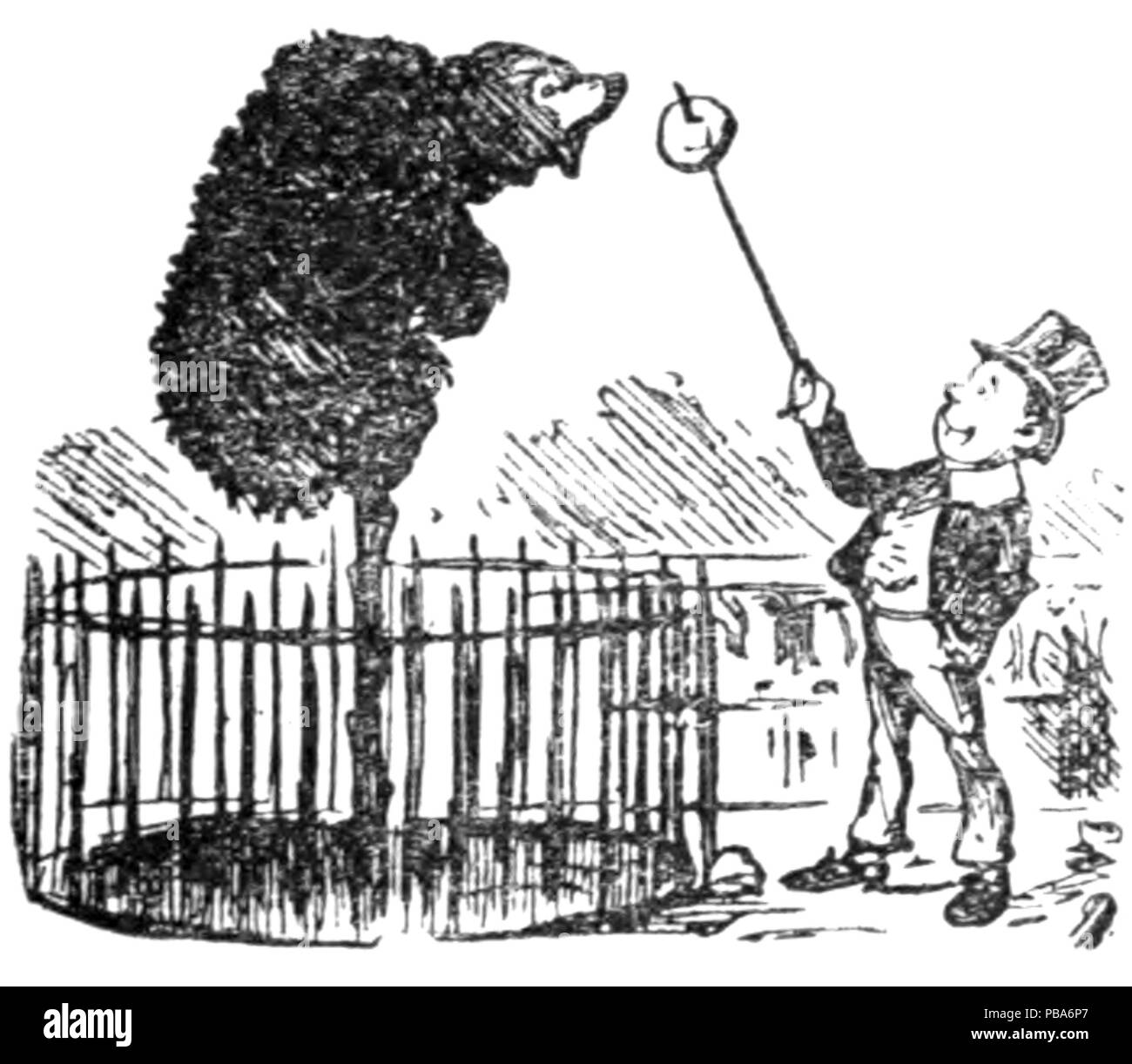 1065 Herrn Punch Buch von Sport (Abbildung Seite 51 E) Stockfoto