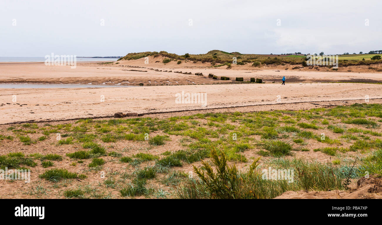 Alnmouth Hafen, Northumberland, England, Großbritannien Stockfoto