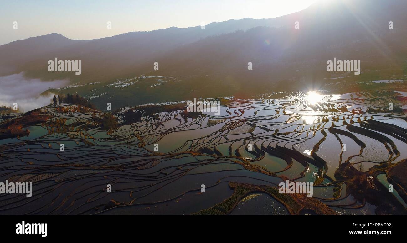 Antenne morgen Szene der mit Wasser gefüllte Reisterrassen und Reflexionen der Sonne auf der Wasseroberfläche. UNESCO-Weltkulturerbe, Yuanyang, Yunnan. Stockfoto