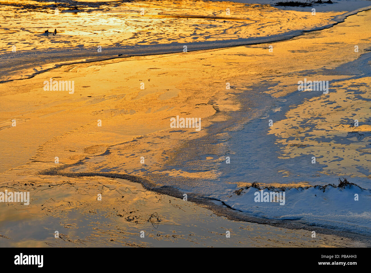 Abendhimmel Reflexionen in frischem Eis auf einem beaverpond Kanal, Greater Sudbury, Ontario, Kanada Stockfoto