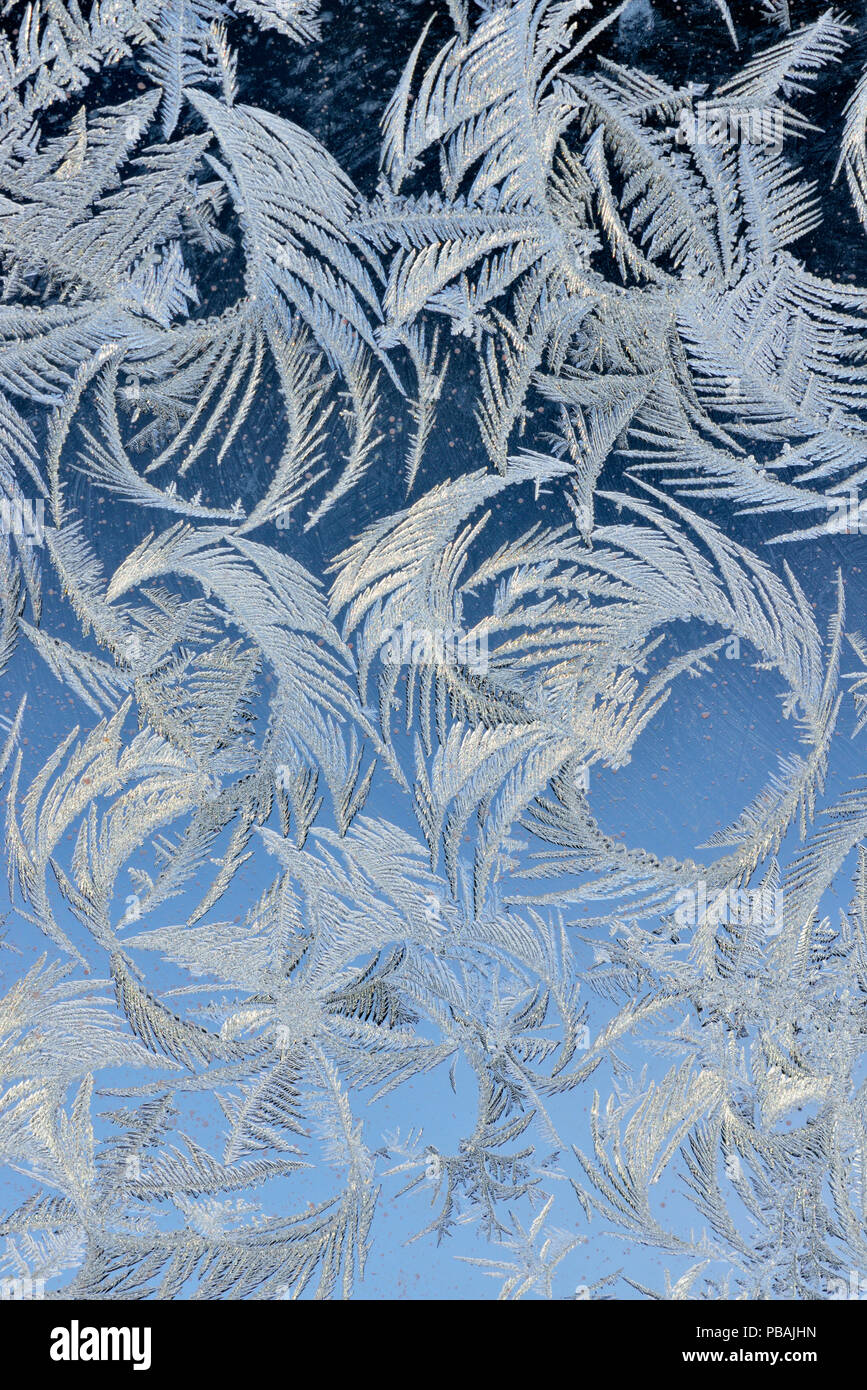 Eisblumen am Fenster, Greater Sudbury, Ontario, Kanada Stockfotografie -  Alamy