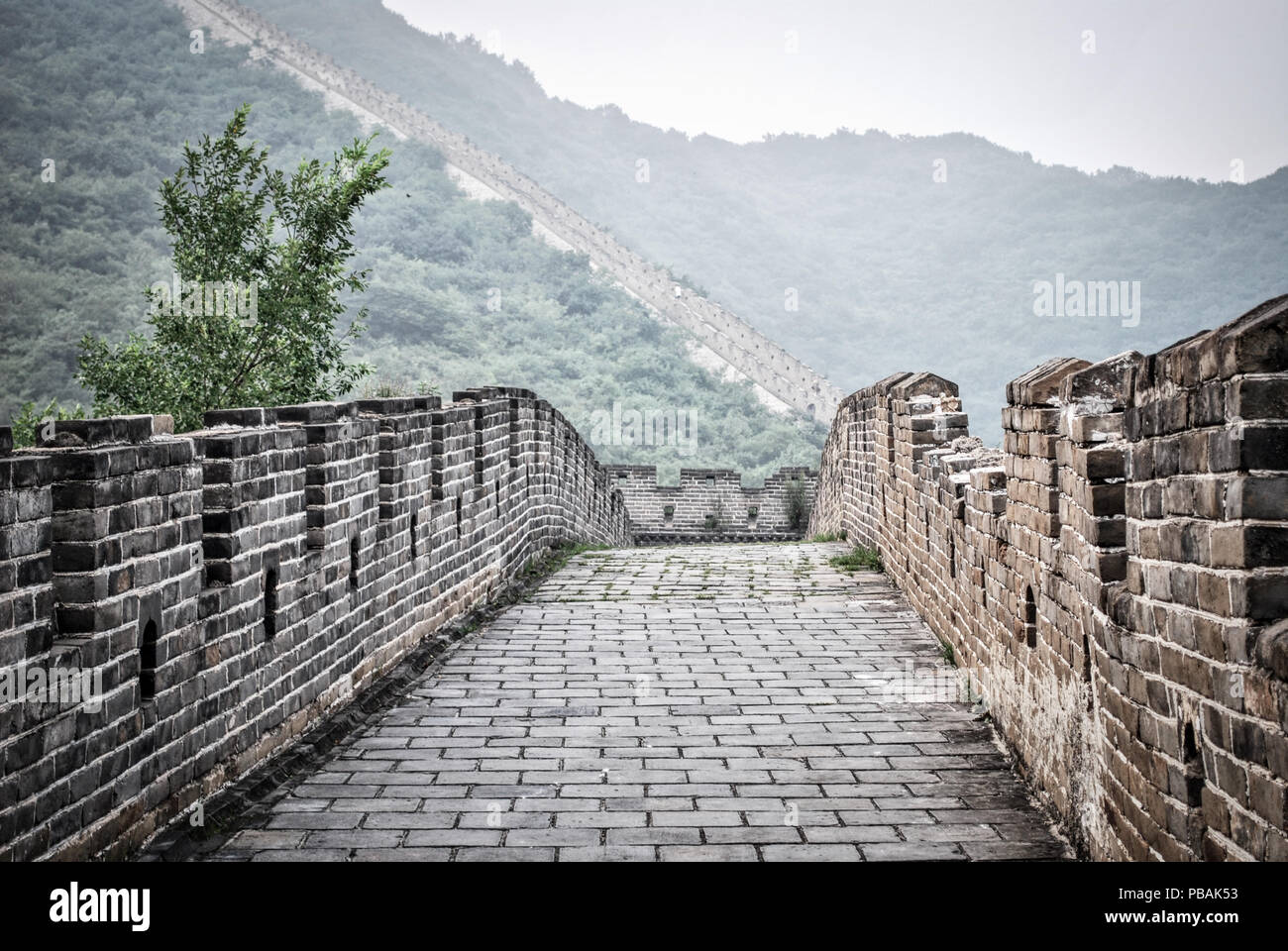 Great Wall Of China Stockfoto