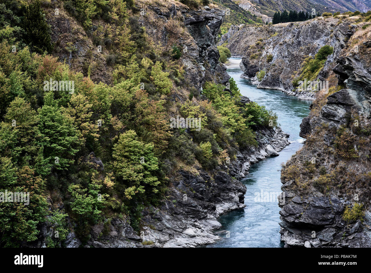 Queenstown, Südinsel, Neuseeland Landschaft Stockfoto