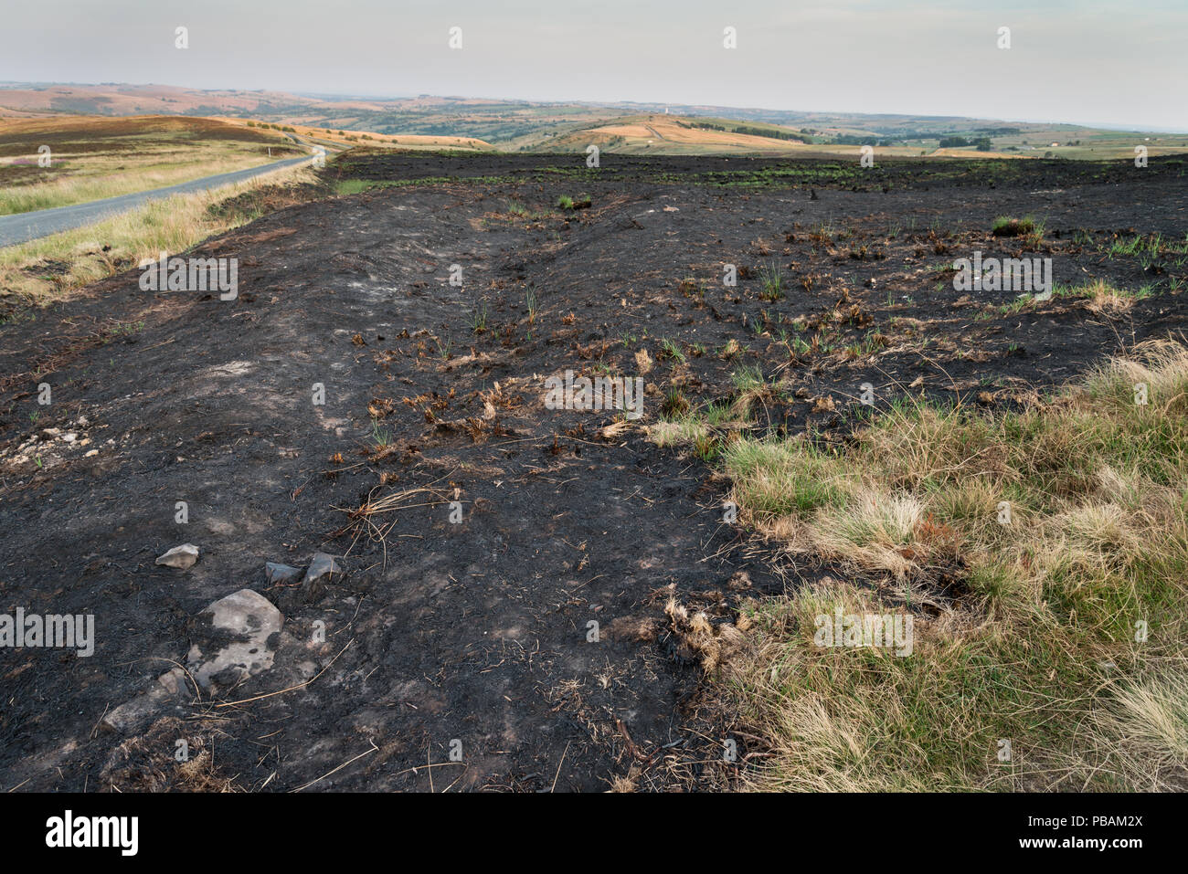 25. Juli 2018, den Folgen der verheerenden moorland Brände in der Staffordshire Peak District in der Nähe von Thorncliffe mit verkohlten Gras und Heather Stockfoto