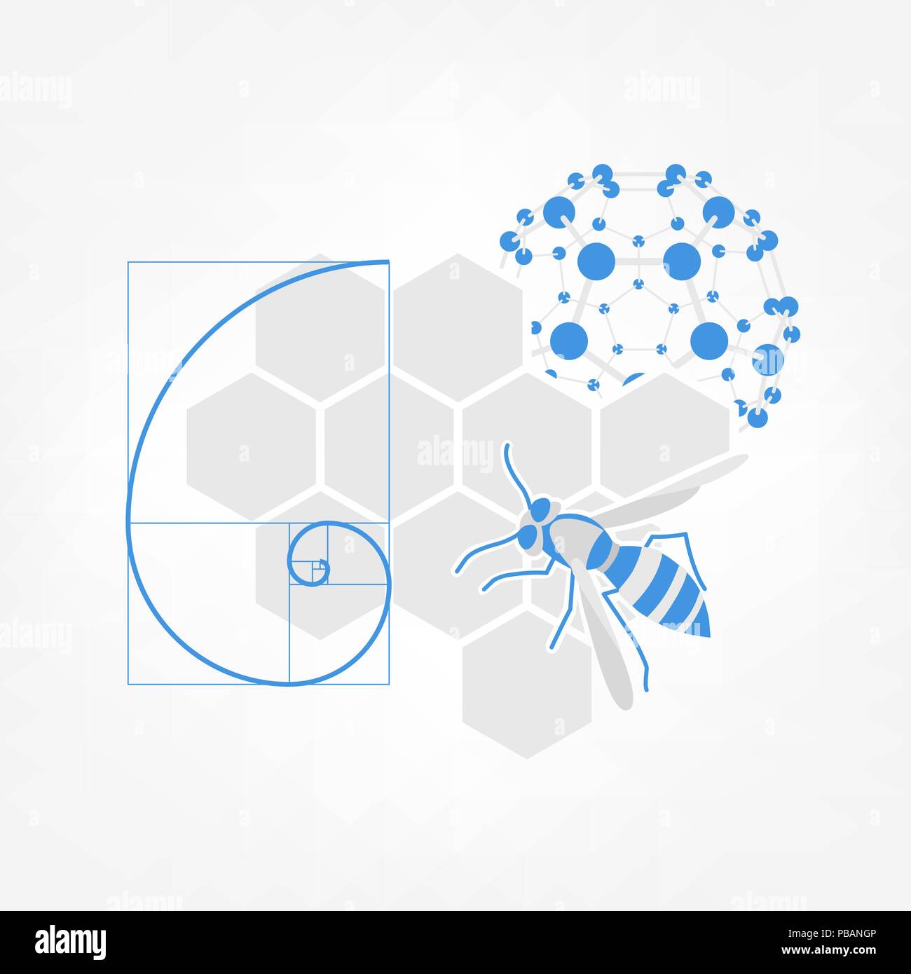 Natur inspiration Symbol. Vector Illustration von Waben, Biene, Fibonacci Spirale und fulleren Molekül Stock Vektor