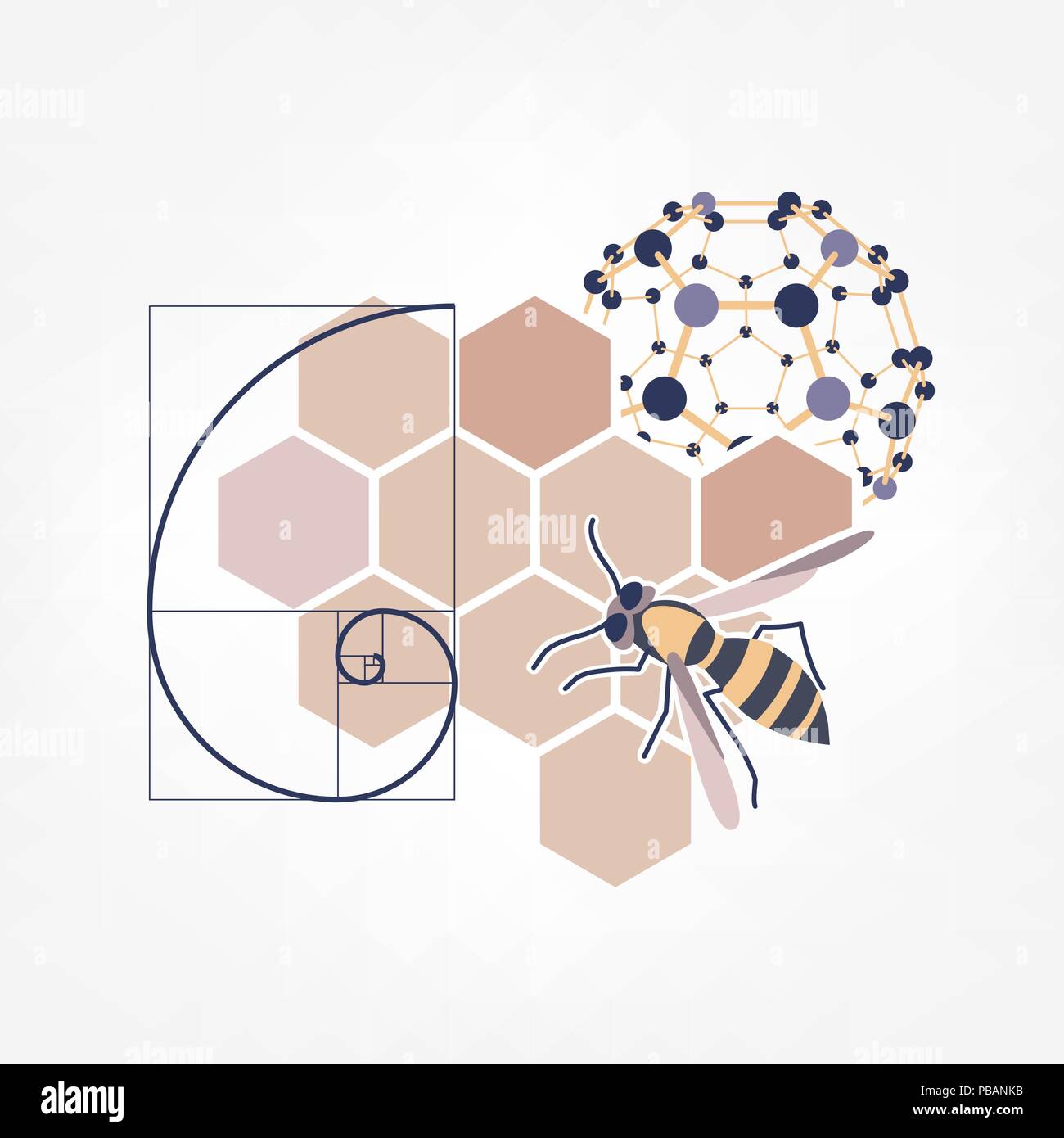 Natur inspiration Symbol. Vector Illustration von Waben, Biene, Fibonacci Spirale und Molekül Stock Vektor