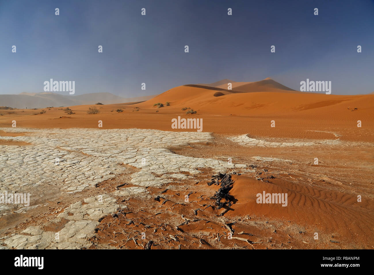 Big Daddy, mit 325 m die höchste Sanddüne der Welt, Wüste Namib, Namibia. Stockfoto