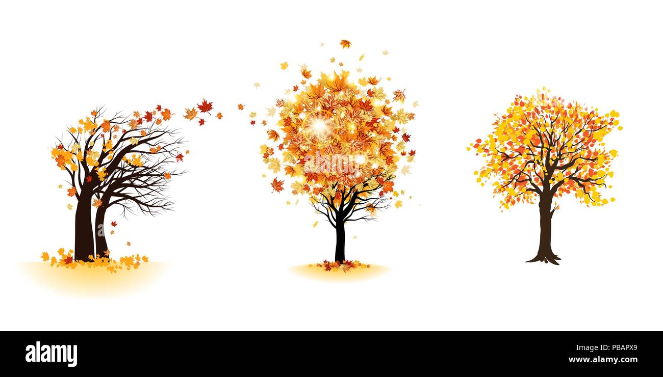 Herbst Bäume eingestellt Stock Vektor