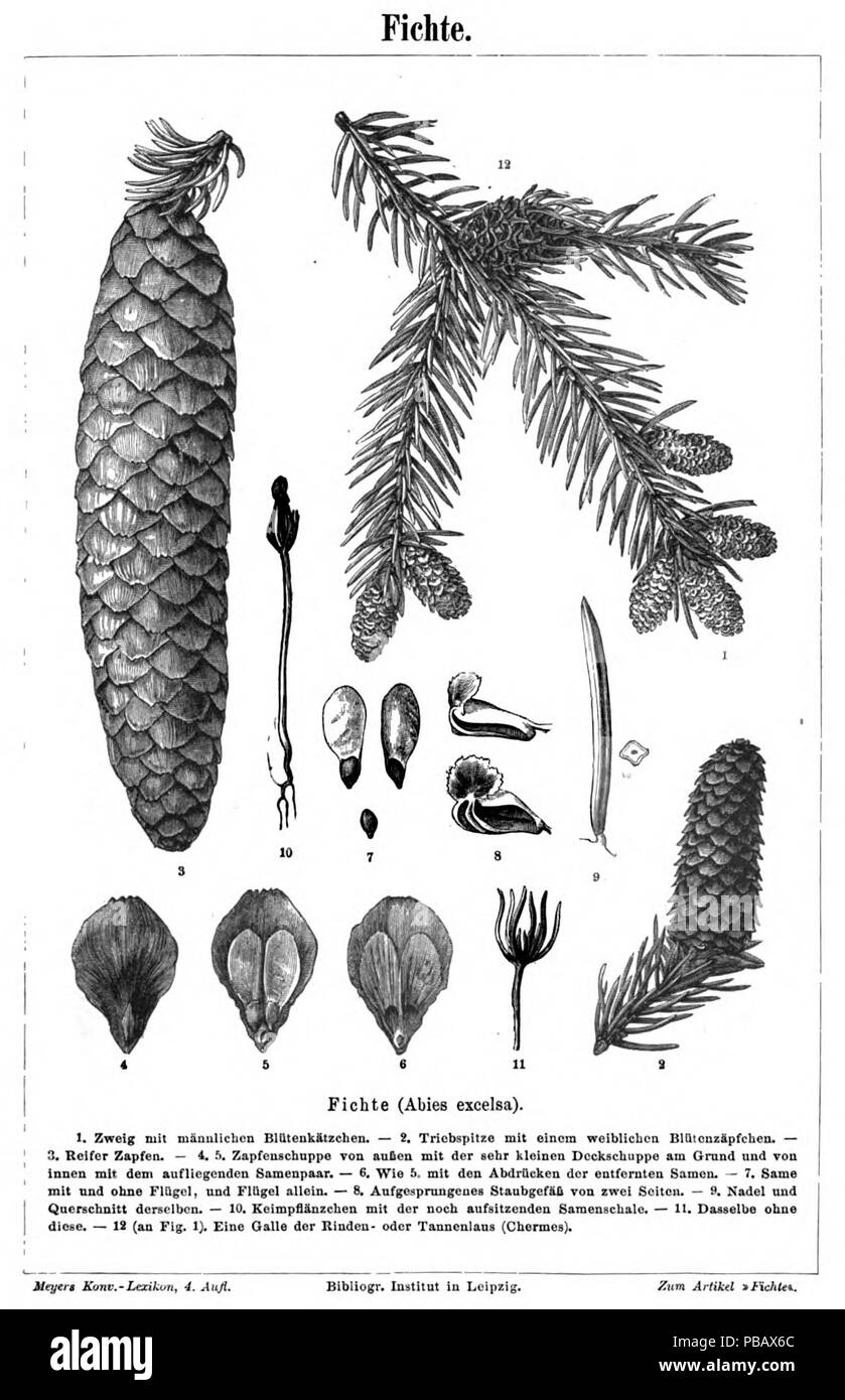 1038 Meyers b6s 0232 a Stockfoto