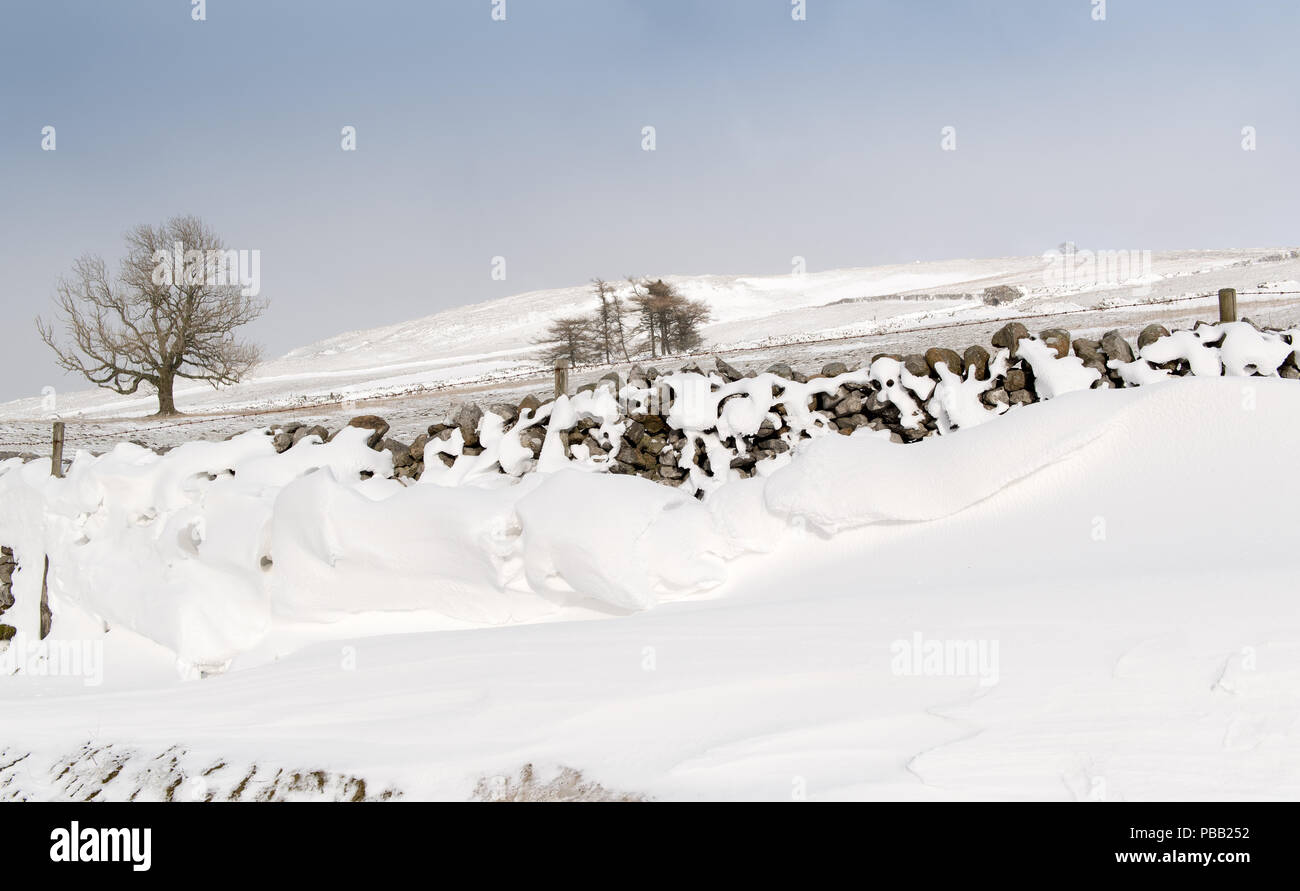 Schneeverwehungen auf der Rückseite der Dystone Wände gebildet, nachdem ein Schneesturm in den Yorkshire Dales, UK. Stockfoto