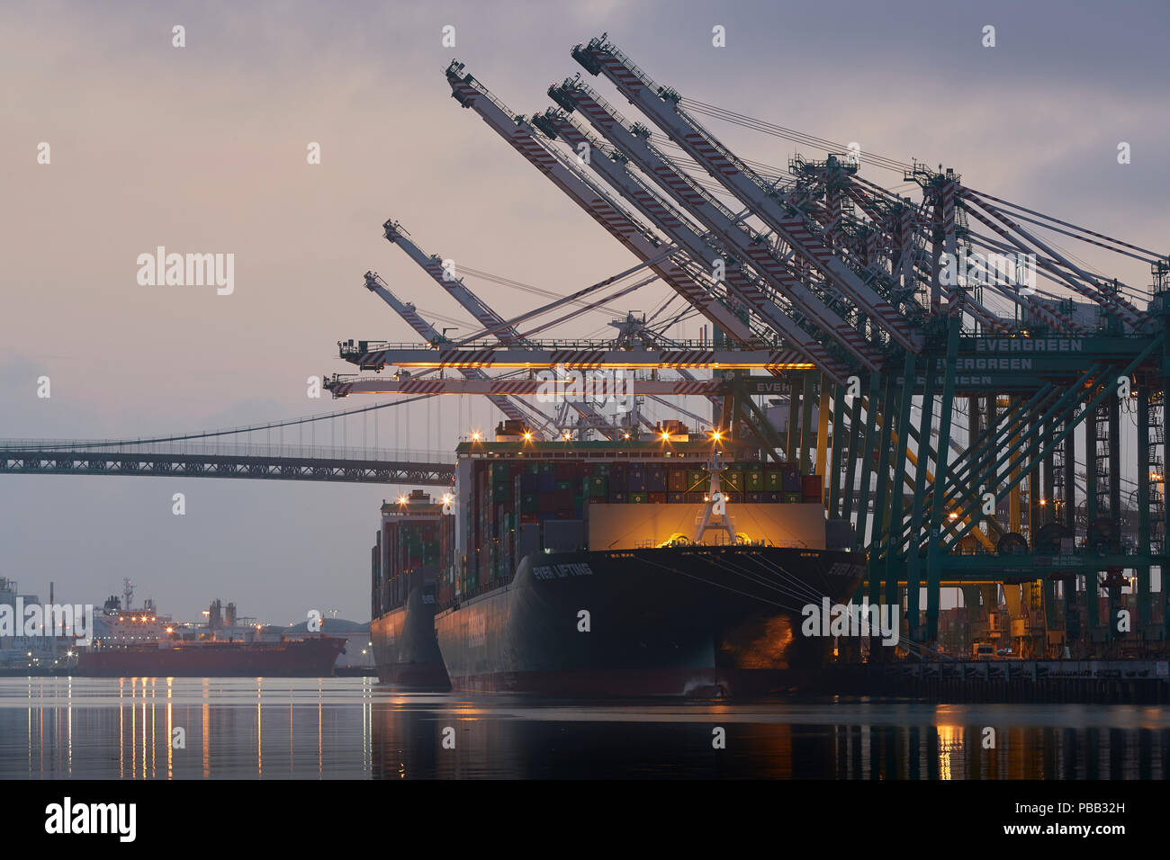 Die riesigen EVERGREEN Container schiff, immer Heben entladen Am EVERPORT Container Terminal im Hafen von Los Angeles bei Sonnenaufgang. Kalifornien, USA. Stockfoto