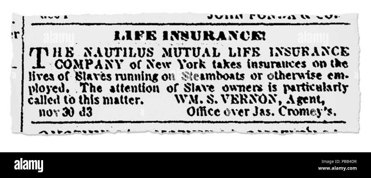 1084 Nautilus gegenseitige Leben Slave Politiken Stockfoto