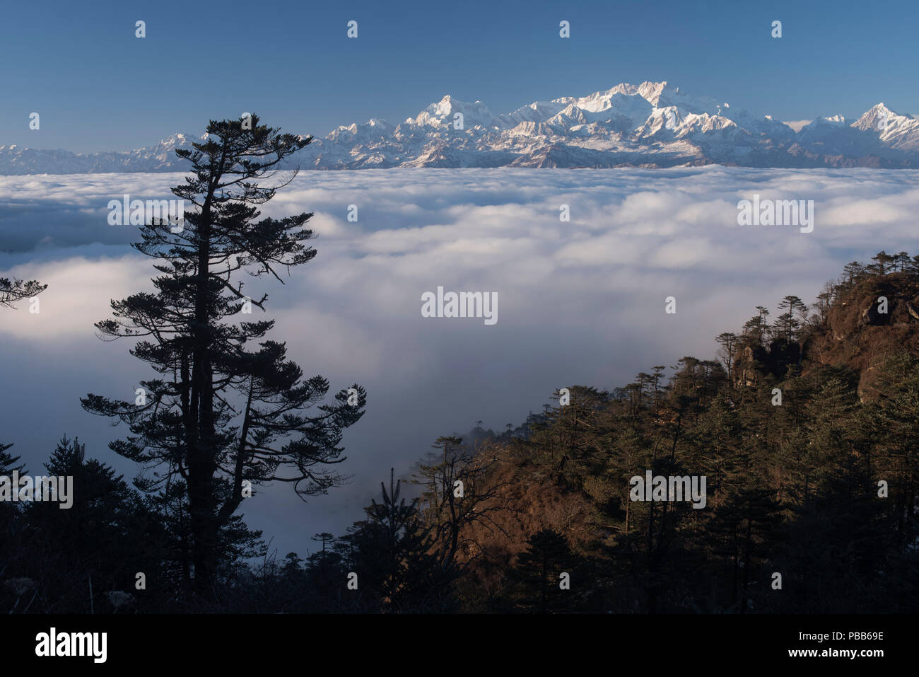 Eine atemberaubende Landschaft mit Blick auf den Kanchenjunga Bereich snowcaped und die fließenden Fluss von Wolken wie aus Sandakphu, Darjeeling, Indien Stockfoto