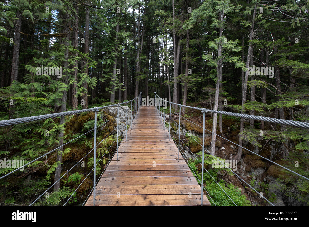 Eine kleine hölzerne Hängebrücke in British Columbia, Kanada, in der Mitte eines Waldes. Stockfoto