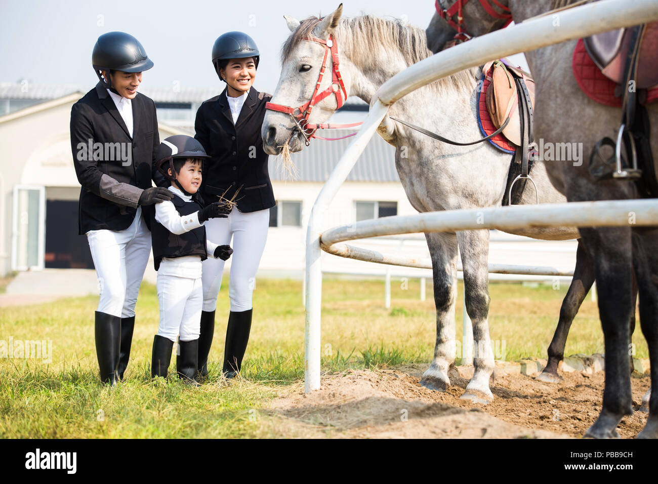 Die jungen chinesischen Familie Fütterung Pferd Stockfoto