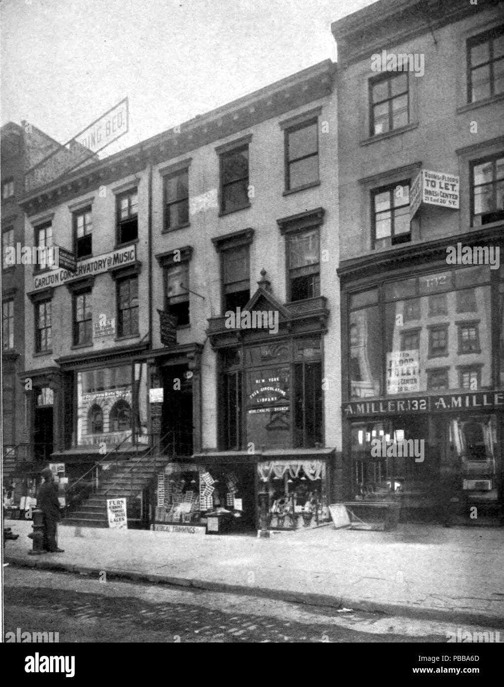 1123 NYFCL Muhlenberg Zweig Stockfoto