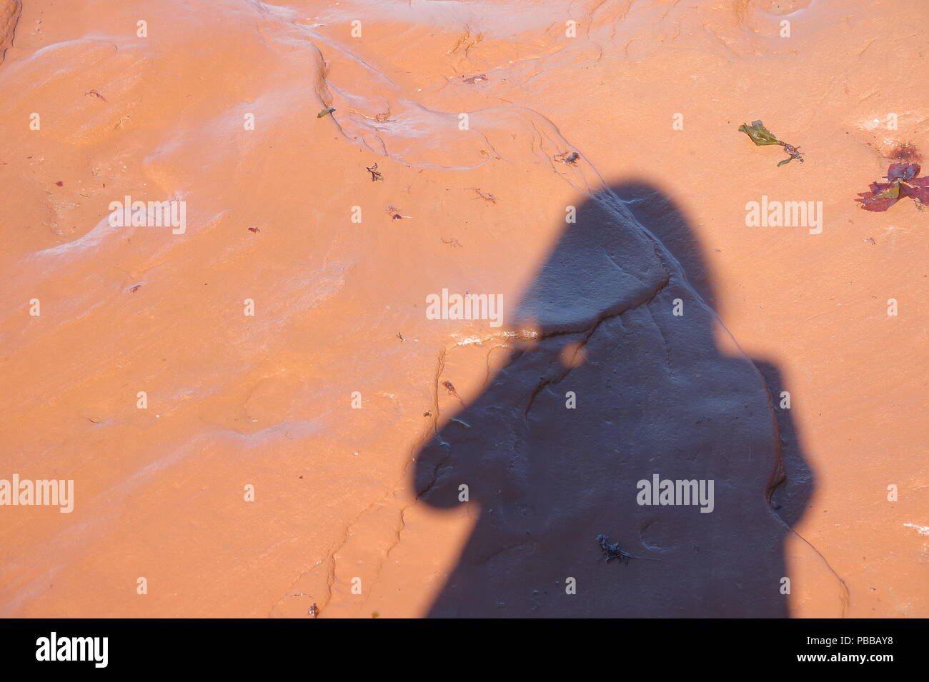 Der Schatten eines einsamen weiblichen Figur an einem Sandstrand am späten Nachmittag Sonnenschein umrissen; Prince Edward Island, PEI Stockfoto