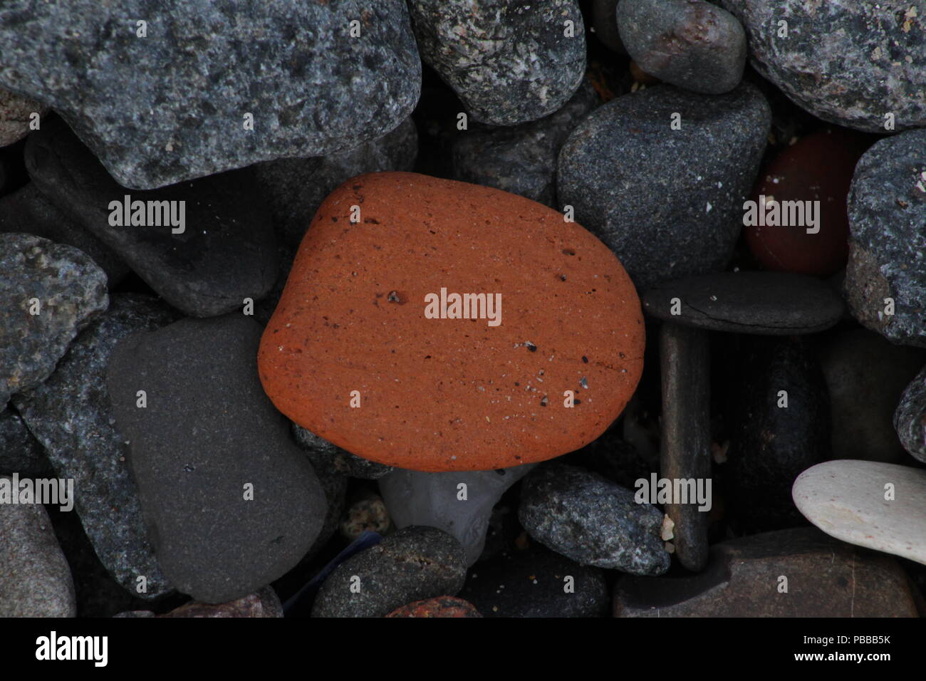 Kieselsteine am Strand Stockfoto