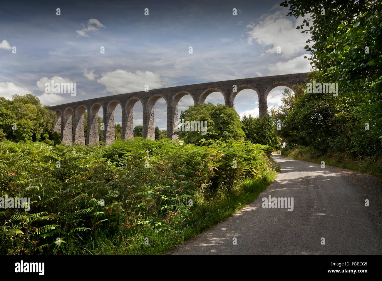 Cynghordy Viadukt, zwischen Llandovery und Llanwrtyd Wells, der die Herzen von Wales Bahnstrecke. Wales, Großbritannien Stockfoto