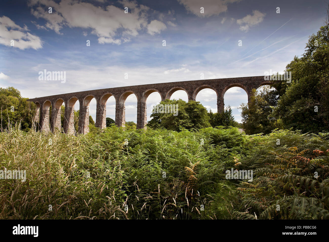 Cynghordy Viadukt, zwischen Llandovery und Llanwrtyd Wells, der die Herzen von Wales Bahnstrecke. Wales, Großbritannien Stockfoto