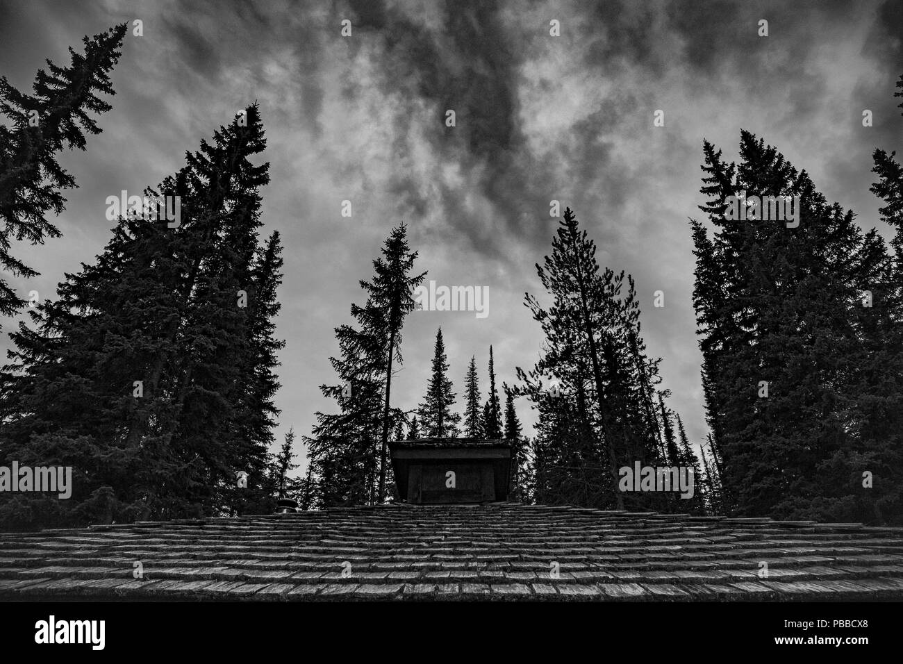 Alte traditionelle keramische Fliesen Dach von mit Bäumen umgeben. Stockfoto