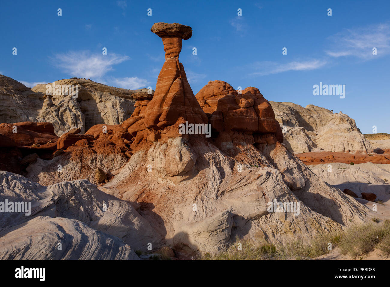 Fliegenpilze Bildung im Grand Staircase Escalante NM Stockfoto