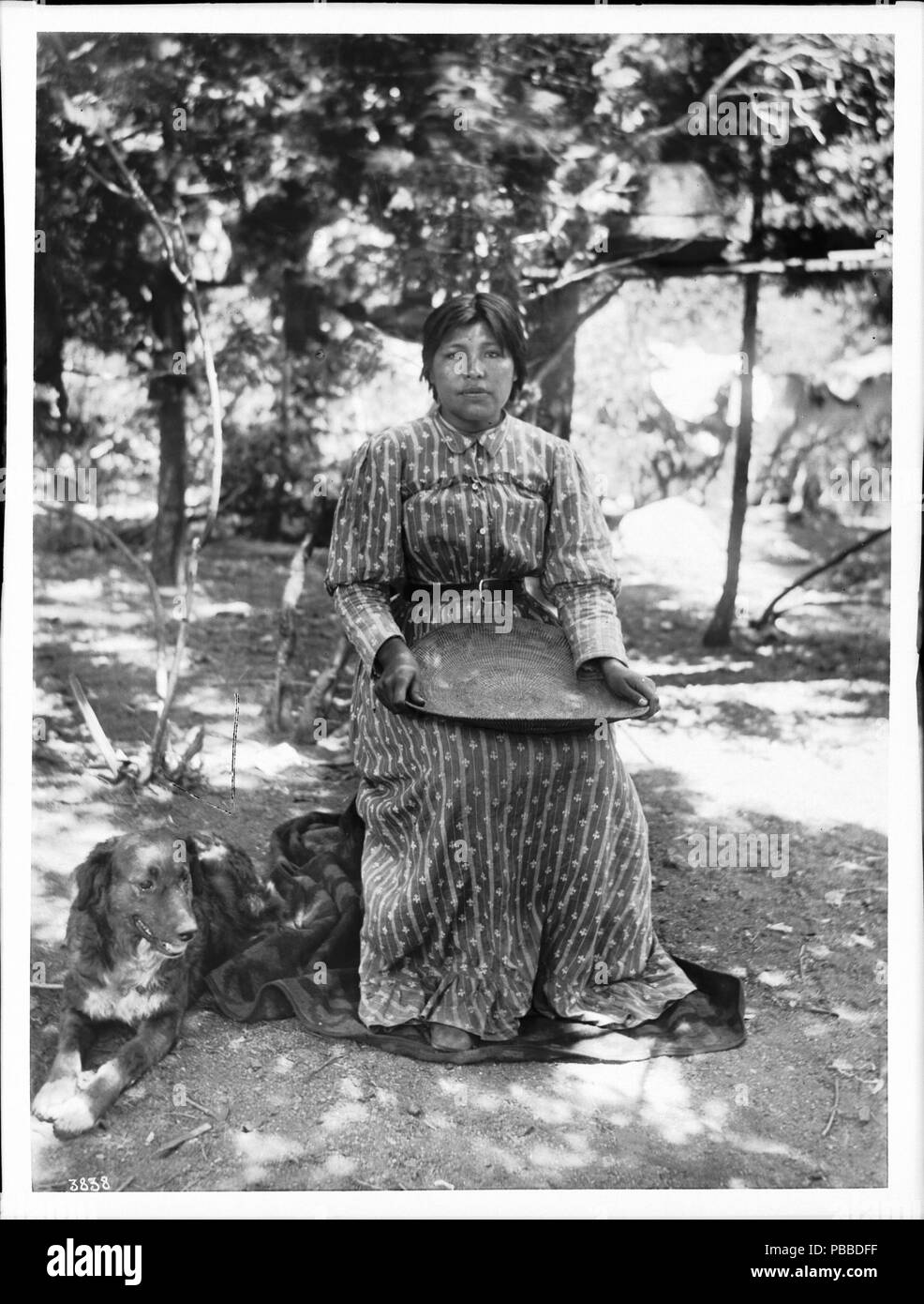 . Englisch: Paiute indische Frau korbmacher von Yosemite Valley, Ca. 1900 Foto der Paiute indische Frau korbmacher von Yosemite Valley, Ca. 1900. Sie sitzt auf einem Stuhl oder Hocker mit einem großen flachen Korb in ihrem Schoß. Sie ist in einem langen Kleid mit einem Riemen gekleidet. Ein Hund sitzt auf dem Boden neben ihr auf der linken Seite. Die Gegend ist mit Schatten von den Bäumen hinter ihr gesprenkelt. Rufnummer: CHS-3838 Fotograf: Pierce, C.C. (Charles C.), 1861-1946 Dateiname: CHS-3838 Abdeckung Datum: ca. 1900 Teil der Sammlung: California Historical Society Collection, 1860-1960 Format: Glasplatte Stockfoto