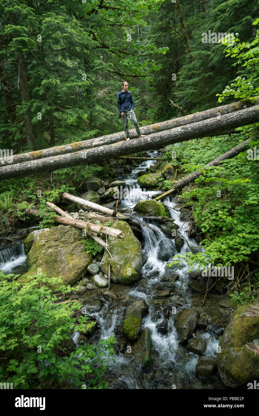 Mann zu Fuß über Kaskaden auf Log in Washington. Stockfoto
