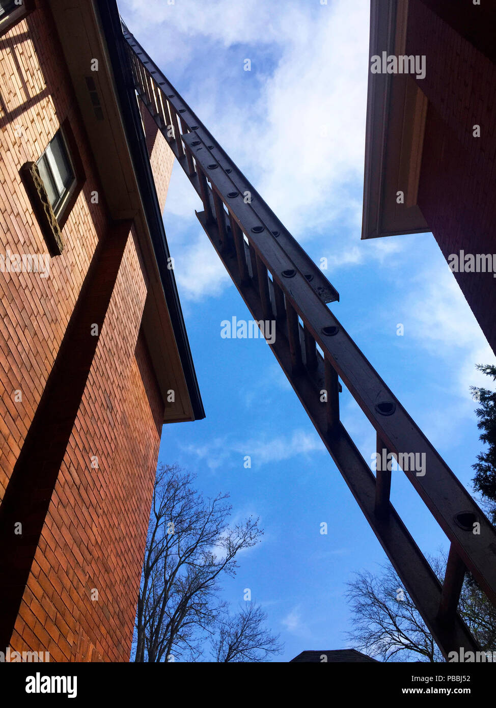 Zwischen zwei angrenzenden Häusern ist eine Verlängerungsleiter für Reparaturen am Dach, Ontario, Kanada, eingerichtet. Blick vom Boden nach oben. Stockfoto