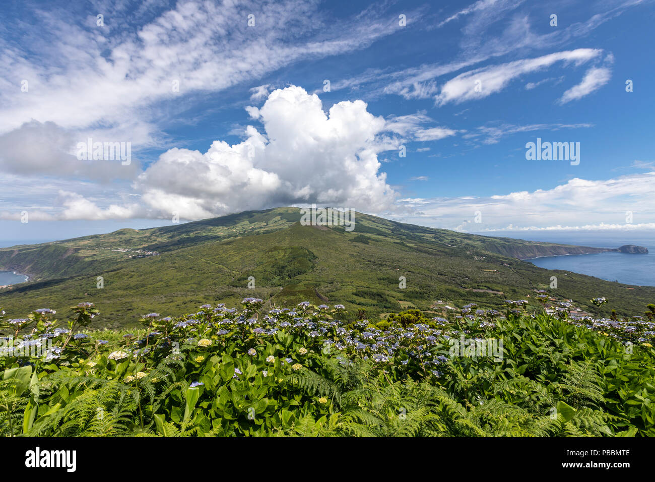 Blick auf die Insel Faial und Ponta de Castelo Branco aus Caldeira do Arco da Calheta Gordo, Azoren, Portugal Stockfoto