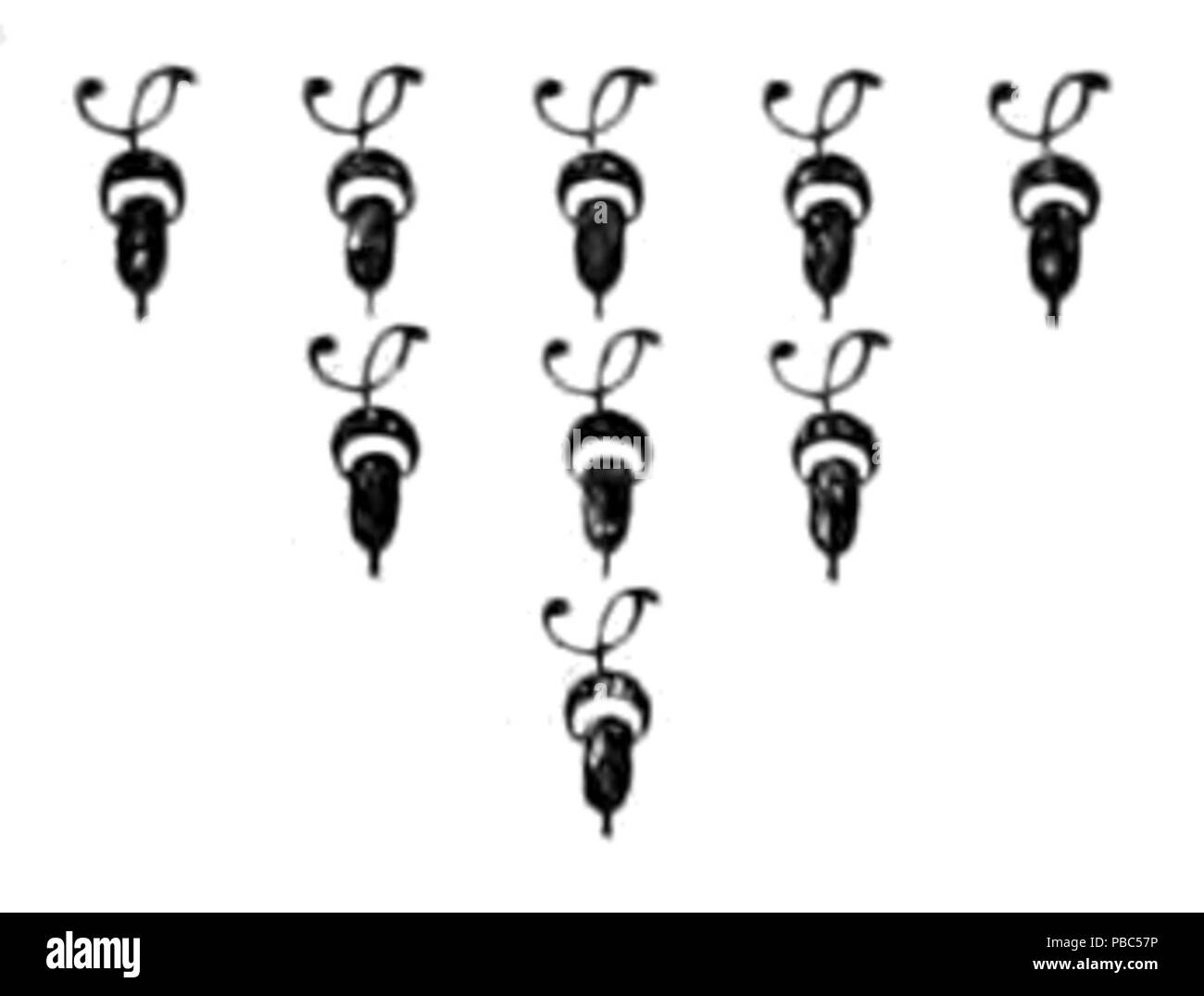 1196 Piers Pflüger Dekoration 16. Stockfoto