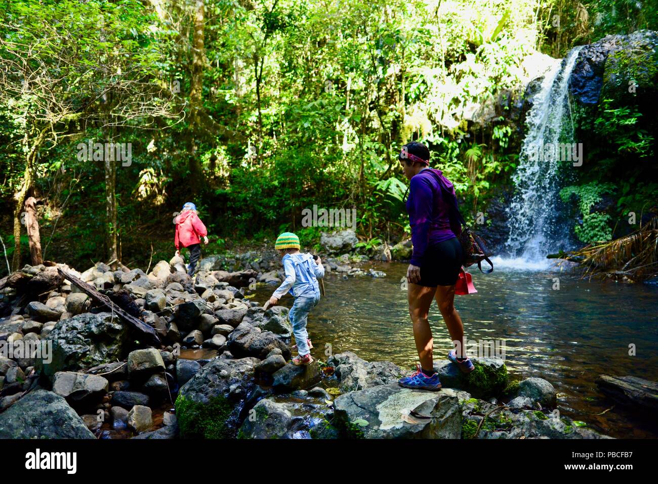 Kinder hinter einem Berg Wasserfall, Silber fällt, fällt Nandroya Schaltung, Atherton Tablelands, QLD, Australien Stockfoto