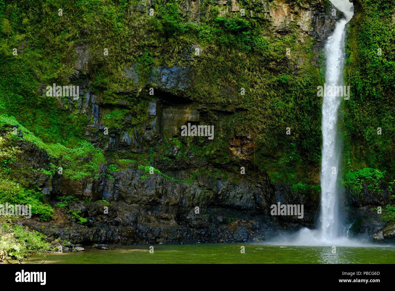 Obere Nandroya fällt, fällt Nandroya fällt, Atherton Tablelands, QLD, Australien Stockfoto