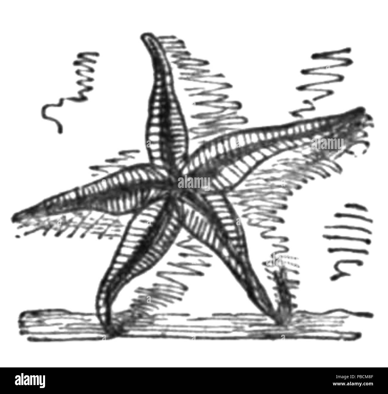 1207 Gedichte von das Meer, 1850 - Hoffnung in Gott Stockfoto