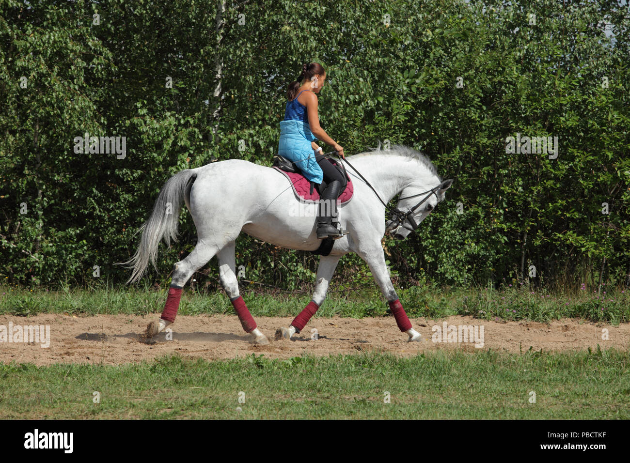 Reiten - die Frau, die ein Pferd reiten. Pferd und Reiter Mädchen im Sommer Stockfoto