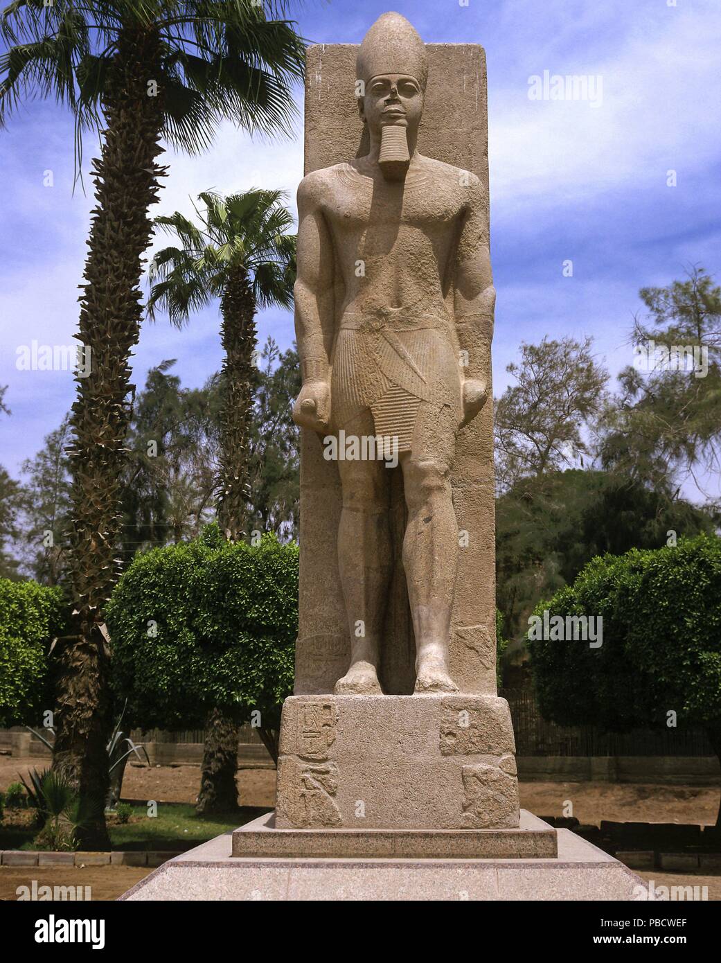 Kolossale Statue von Ramses II-13.Jahrhundert v. Chr., Ruinen von Memphis, Ägypten, Afrika. Stockfoto