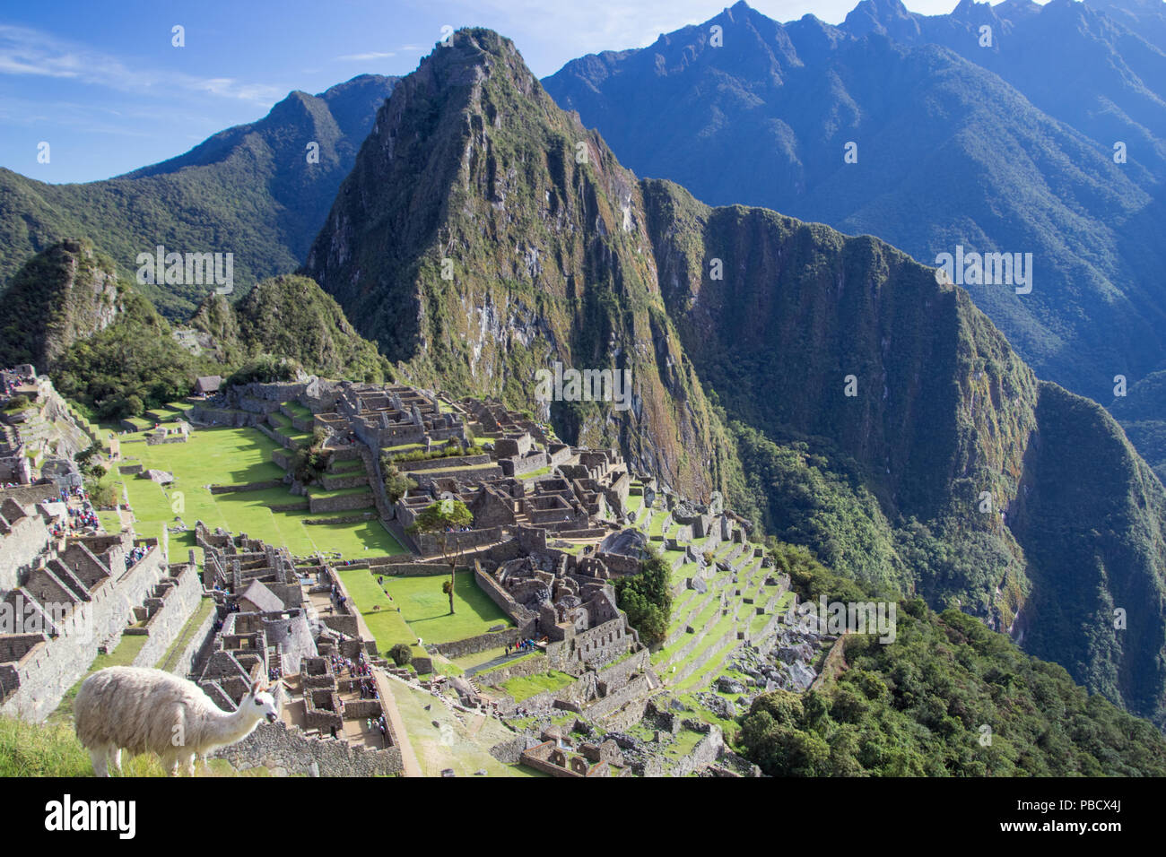 Alte Inkaruinen von Machu Picchu Stockfoto