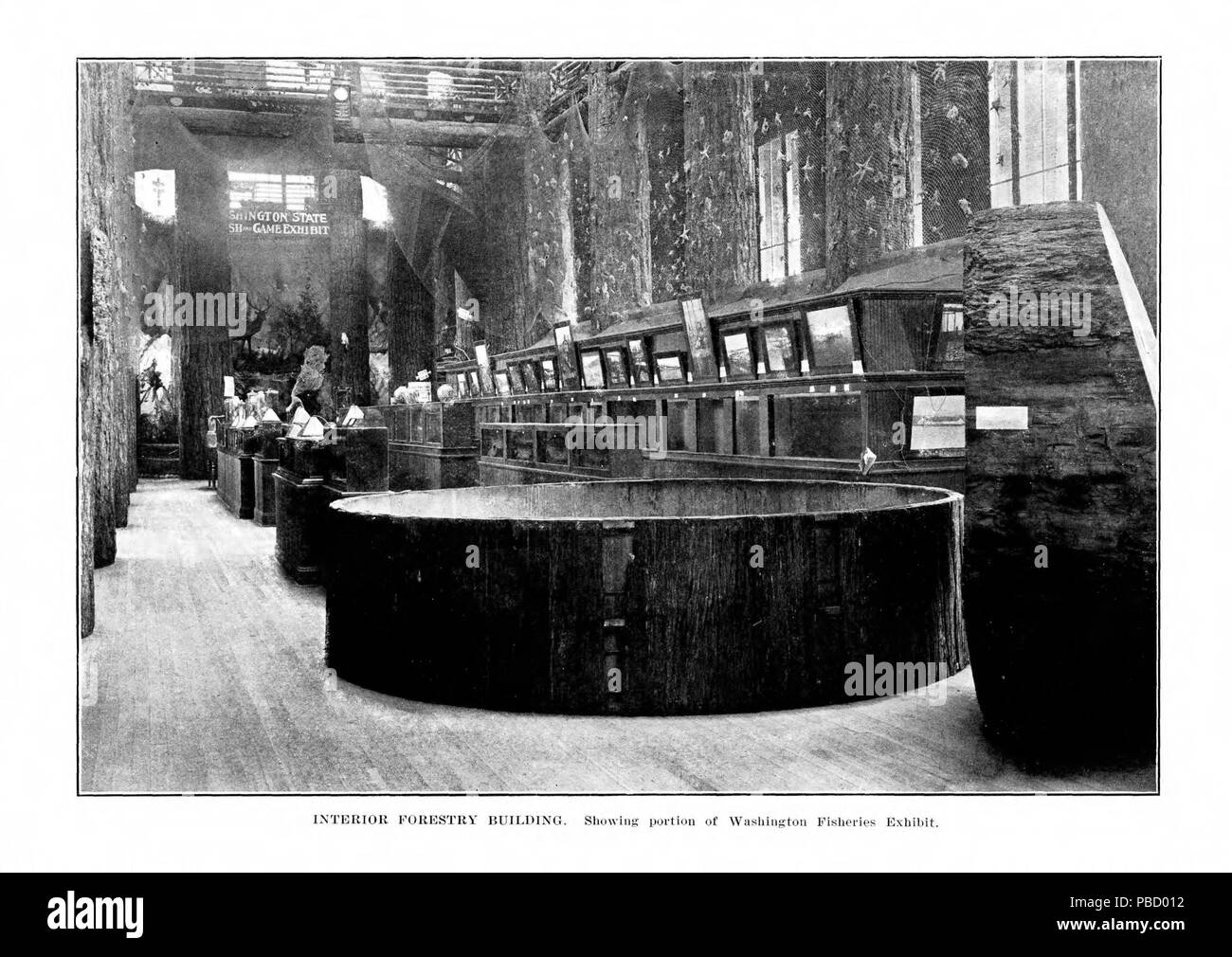 1253 Bericht der Alaska-Yukon-Pazifik Ausstellung Kommission des Staates Washington - Seite 14 Stockfoto