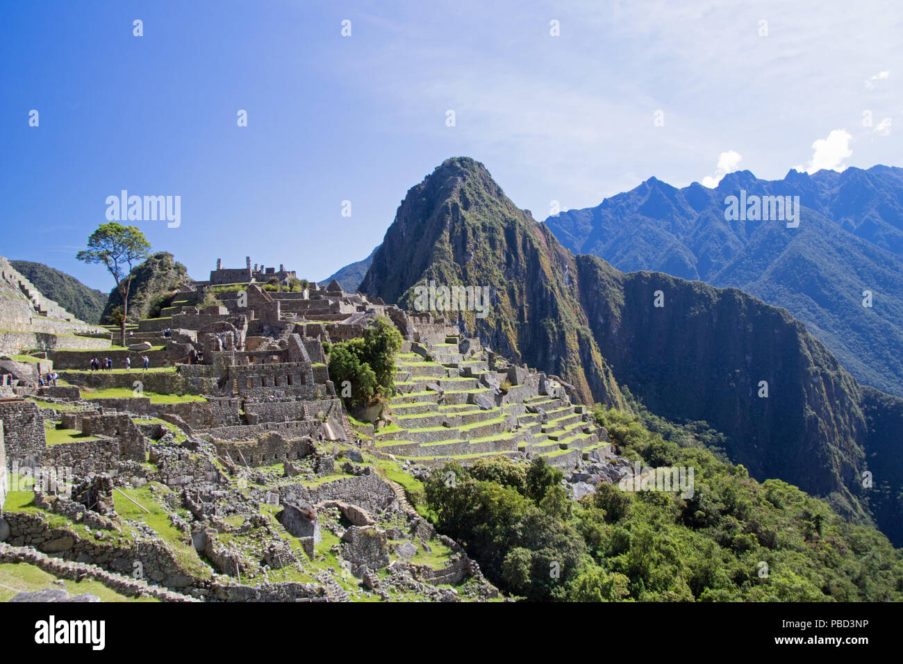Alte Inkaruinen von Machu Picchu Stockfoto