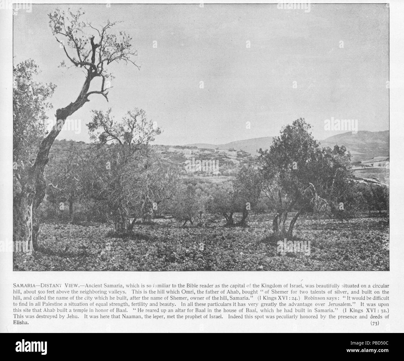 1285 Samaria. Fernsicht, 73. Heiligen Land fotografiert. Daniel B. Shepp. 1894 Stockfoto