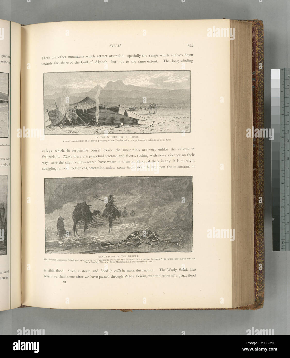 1289 Sandsturm in der Wüste. Die gefürchtete khamseen (Wind und Sand Storm) Sehr häufig überholt die Reisenden in der Region zwischen 'Ayún Músa und Wâdy Amârah. Dekan Stanley, Neibhur, Miss (Nypl b 10607452-80726) Stockfoto