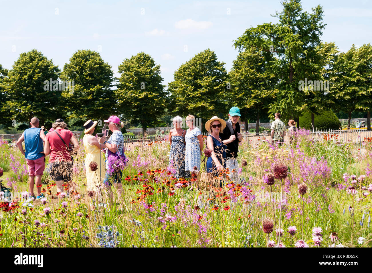 Besucher genießen die Anpflanzung von Piet Oudolf an der RHS Hampton Court Palace Flower Show 2018. Stockfoto