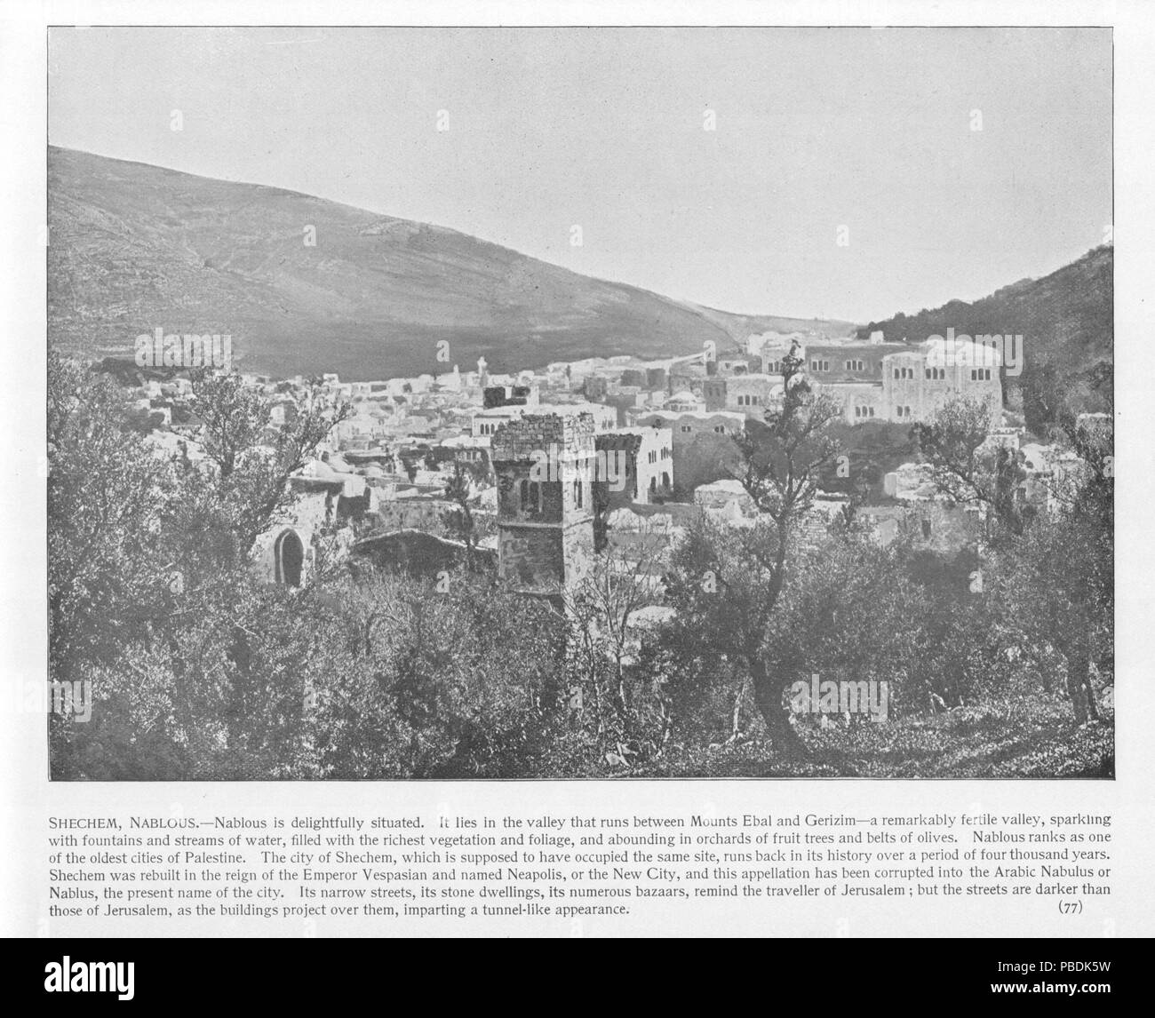 1314 Sichem. Übersicht Ebal und Grizim, 77. Heiligen Land fotografiert. Daniel B. Shepp. 1894 Stockfoto