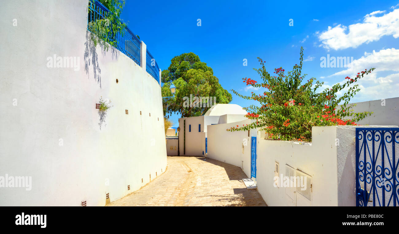 Straße in Weiß Blau Stadt Sidi Bou Said. Tunesien, Nordafrika Stockfoto