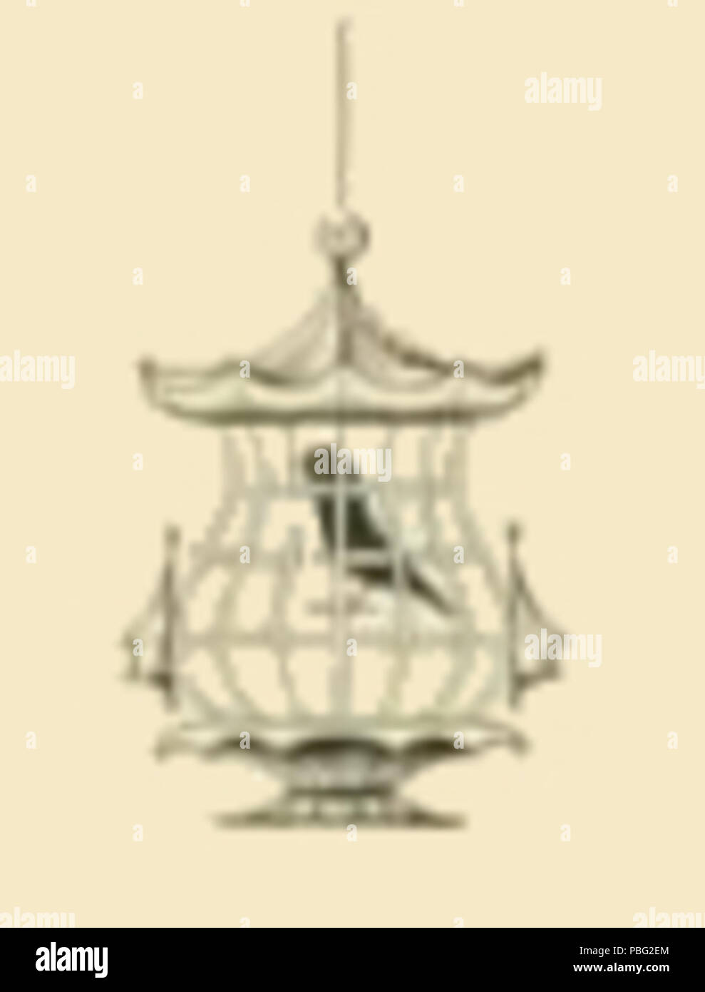 1545 Kleine Caged Bird Zeichnung Stockfoto